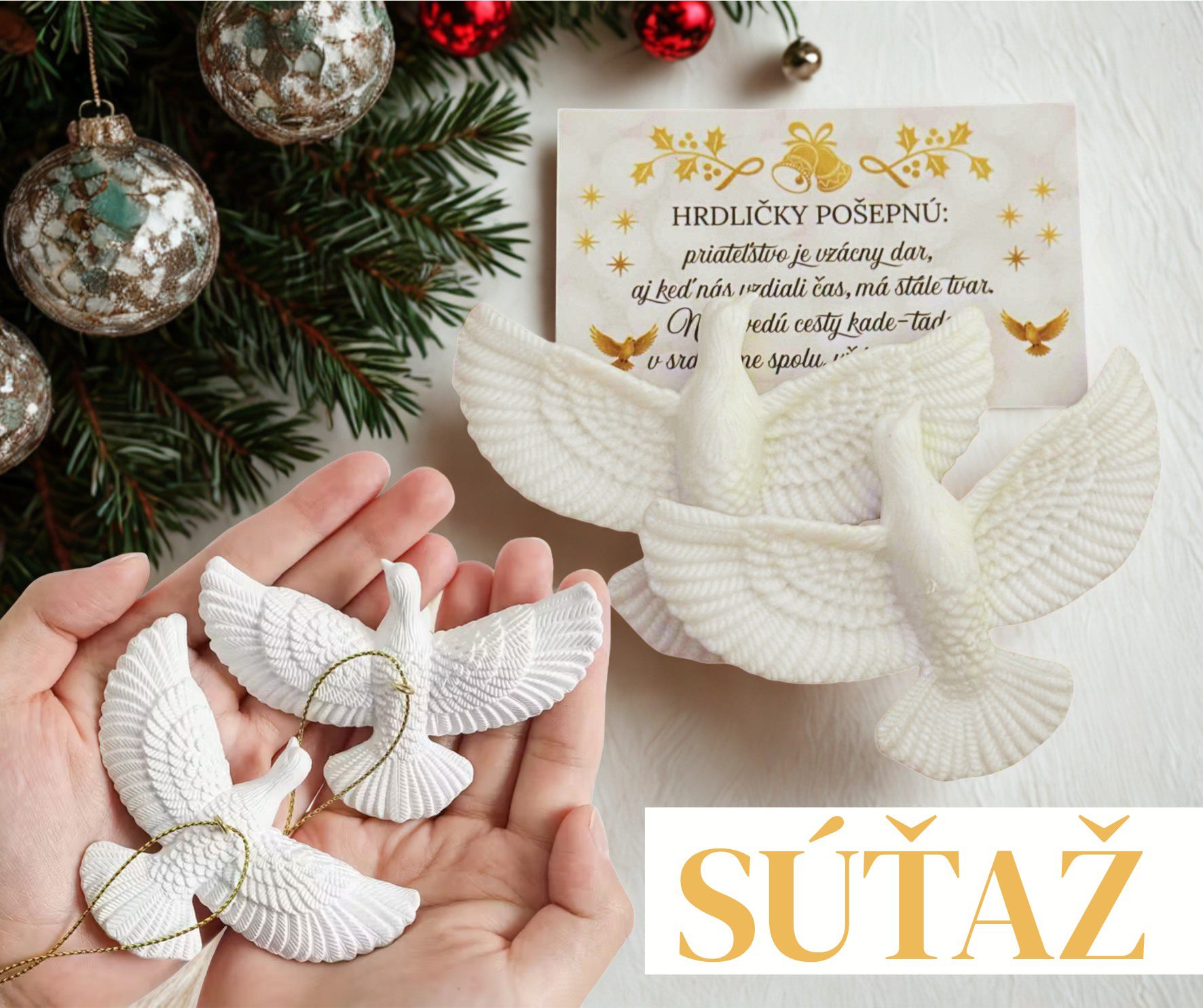 580573569 1414200057373982 563438040864482931 n