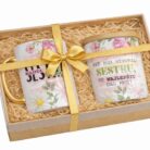 616128362_871124148876836_4148301407974970930_n