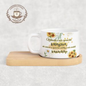 Z kolegýň kamarátky